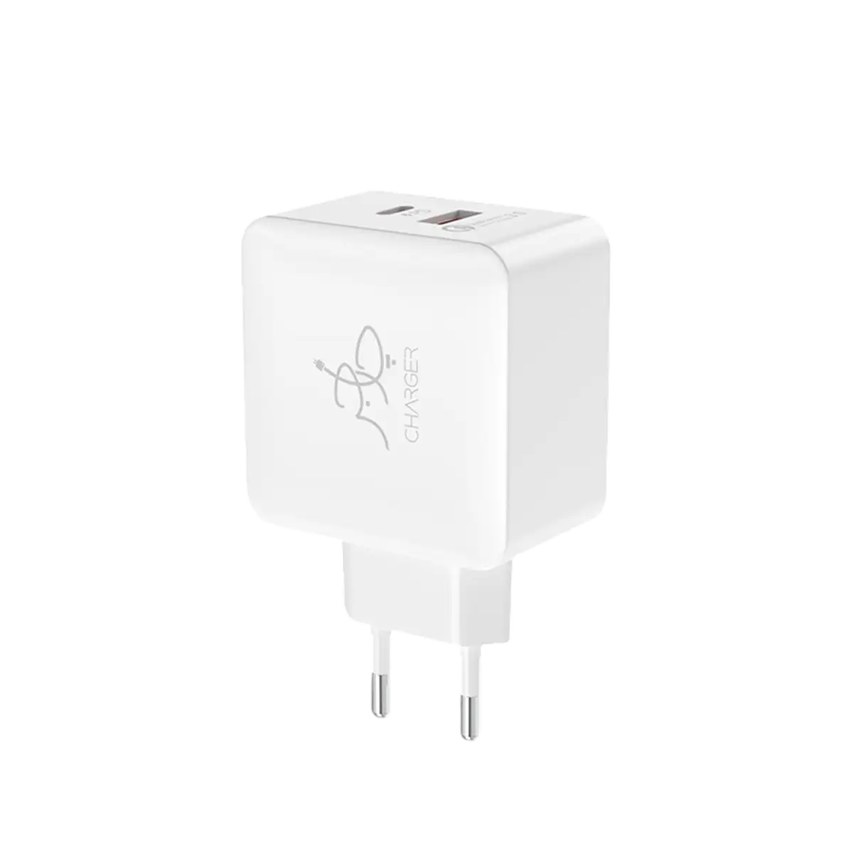 Blaze 25W PD Charger (with C to C cable)