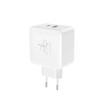 Blaze 25W PD Charger (with C to C cable)