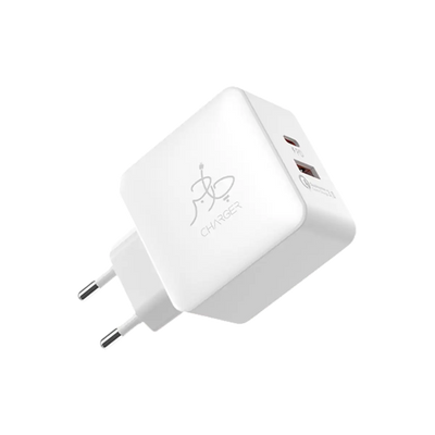 Blaze 25W PD Charger (with C to C cable)